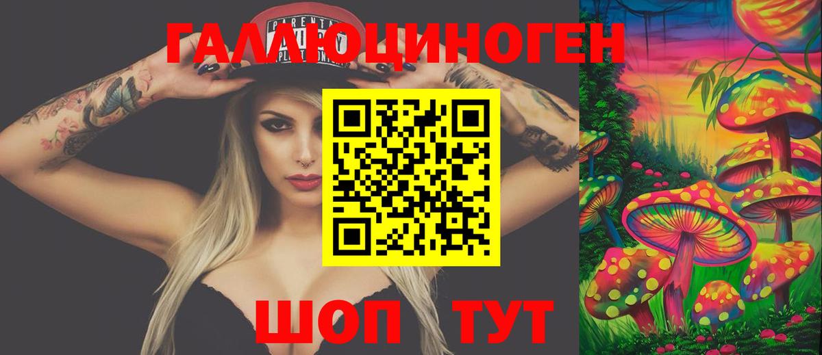 Галлюциногенные грибы Psilocybe Долгопрудный